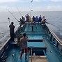 Beruang Menyerang Orang Menangkap Ikan Di Laut Di Indonesia